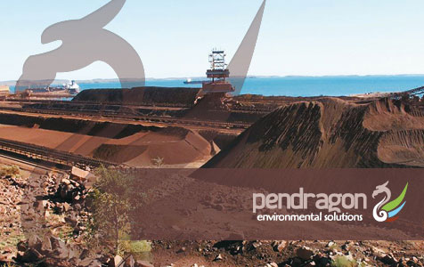 Pendragon brings environmental and economical solutions to mining projects