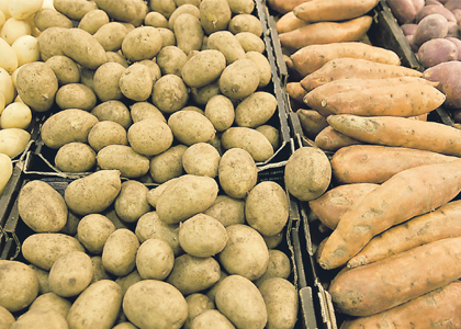 Regulation a blight on potato sector