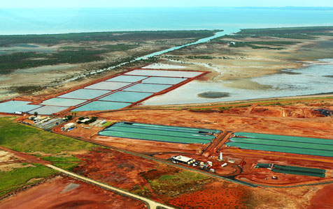 $300m Karratha algae project gets EPA approval