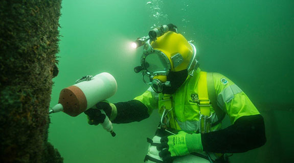 Bhagwan launches subsea arm