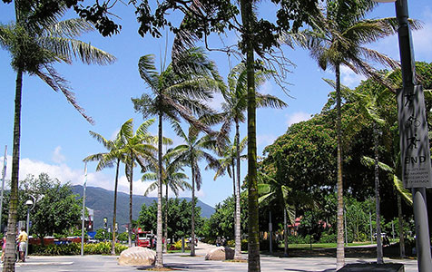 Cairns: our world is suddenly green again