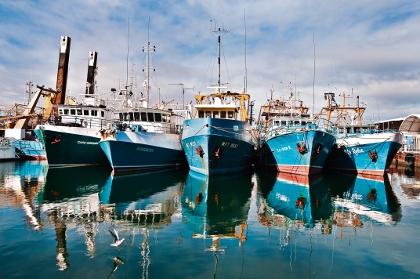 Marine parks to hit fishing industry