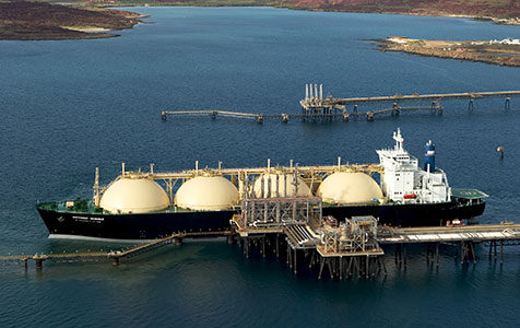 Low price won't dent LNG flow: report