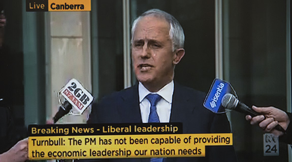 Turnbull in Liberal leadership pitch