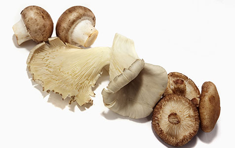 Mushroom sale sees significant interest