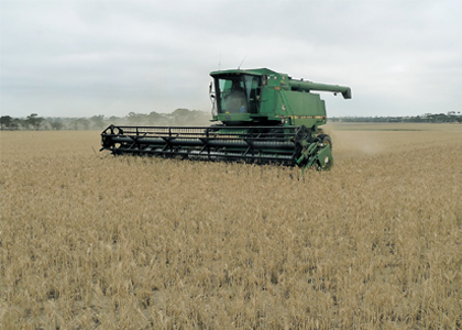 Dry season a threat to eastern grain growers