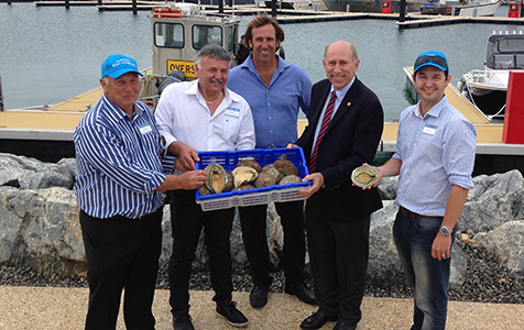 Approval achieved for Augusta abalone