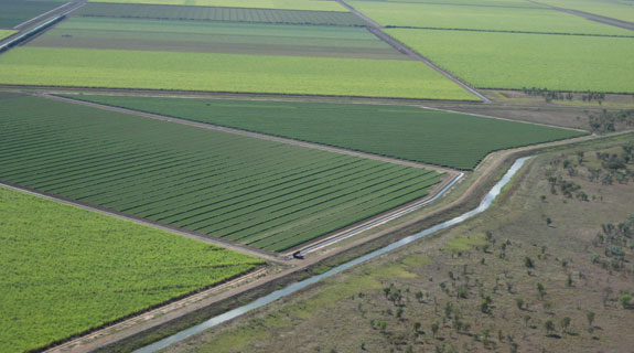 Farmers selected for Ord River land