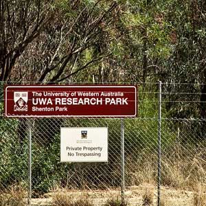 New UWA Shenton Park hurdle