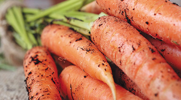 When crunch time comes, carrots are tops