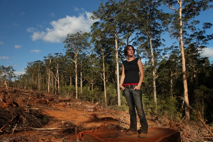 Conservationists furious over forest framework