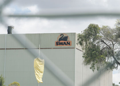 Case of Swan being lost to distant markets