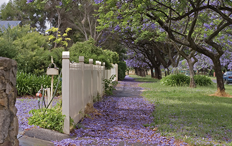 Walking the walk a challenge for Perth