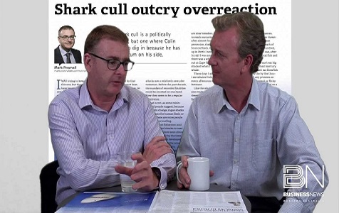 VIDEO: Shark cull outcry overreaction