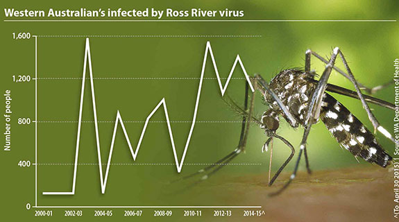 Mozzies welcome human invasion