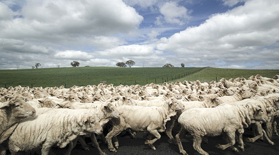 Tech flavour for farmers