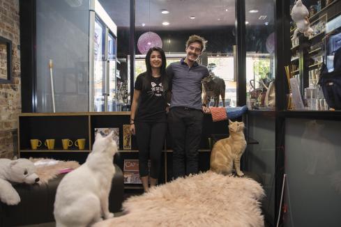Cafe serves Cat Haven support