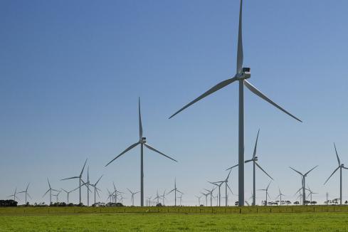 Renewables await policy clarity