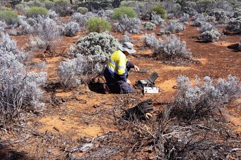 Legend discovers conductor 20m below drill hole in Fraser Range 