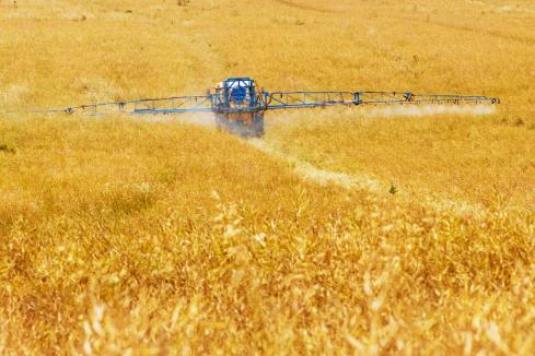 Crop production forecast up 12%
