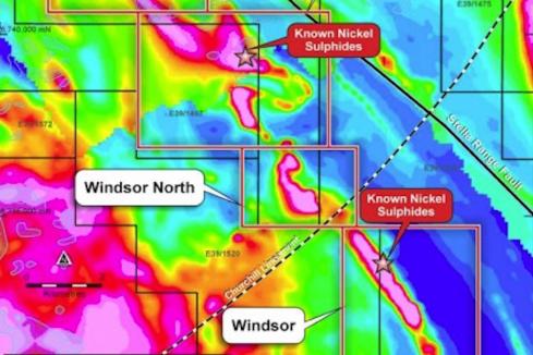 St George strikes again with drill hits at East Laverton