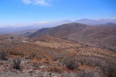 Hot Chili finds historical results showing 4.8% copper in Chile