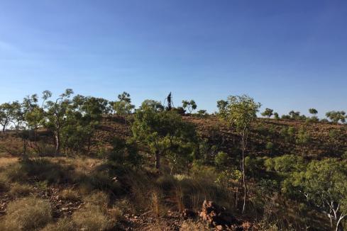 More ounce to the tonne gold for King River