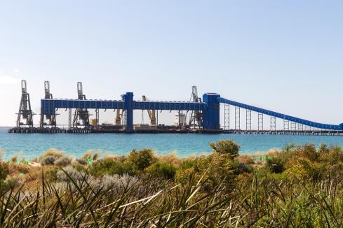 Grain grows 20 per cent for near record