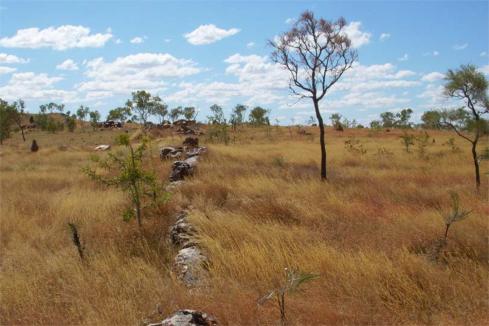 Rods close to turning for Anglo in the Kimberley  