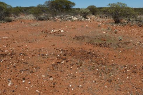 Promising new nickel targets for St George in WA 