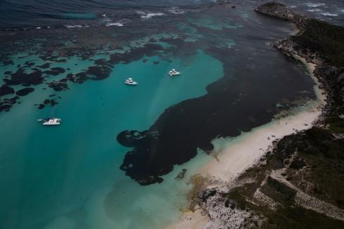 Rottnest attracts more visitors