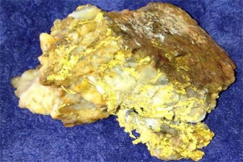 Venus reveals high grade surface gold targets in WA