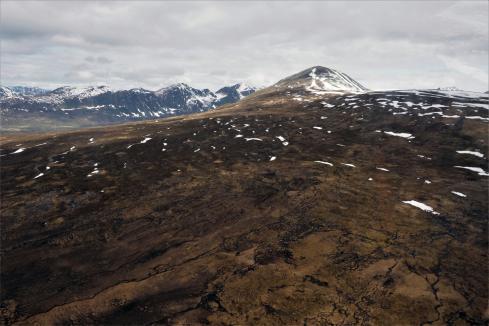 Alaskan porphyry copper target checks out for PolarX