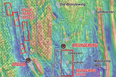 Hammer steps us exploration at Bronzewing South