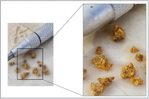 Rox/Venus hits jackpot gold grades at Youanmi in WA 