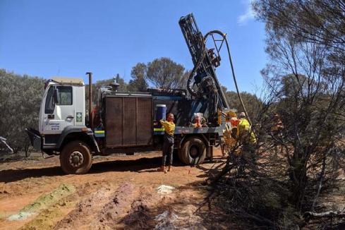 Venus/Rox hit more gold near Penny West mine