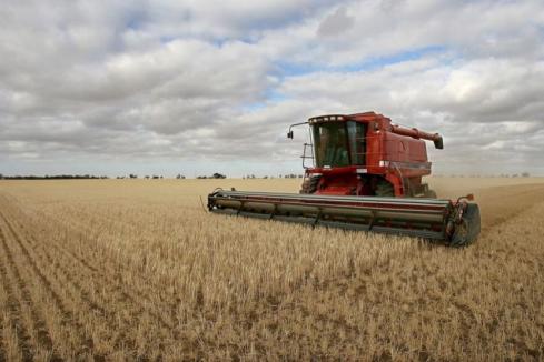 WA farm businesses remain strong
