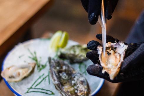 Harvest Road adds Albany oysters to expanding menu