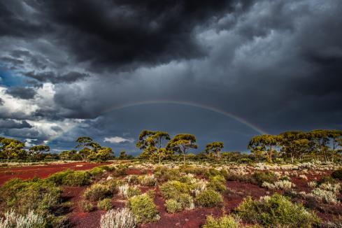 Venus onto new gold & nickel targets in Goldfields