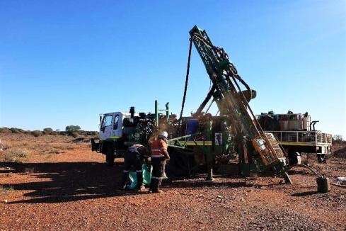 Terrain launches into Wild Viper gold targets in WA