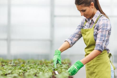 Free TAFE courses for horticulture students