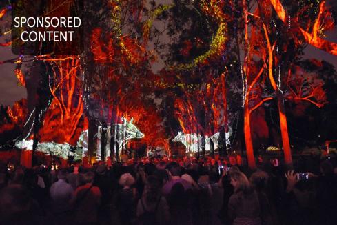 Culture and arts key to shaping Perth’s identity.