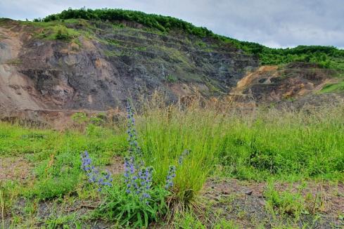 Adriatic discovers deep gold vein at Serbian project