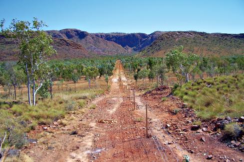 King River strikes more Kimberley high-grade gold veins
