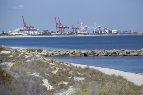 Liberals flag concerns about port plan