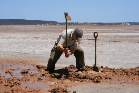 More Goldfields gold sniffs for Kingwest 