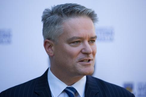 Cormann elected OECD chief