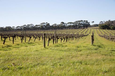 Tariffs hit WA wine exports