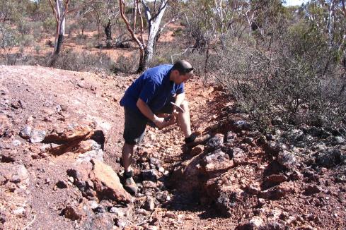 Cracker gold sample results for White Cliff at Reedy South