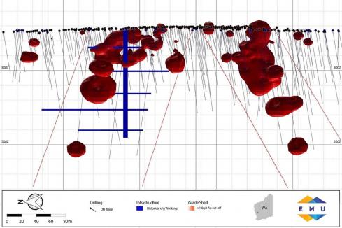 Emu back on the bit at WA gold discovery